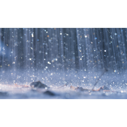 春望_五_.png 春望_五_.png