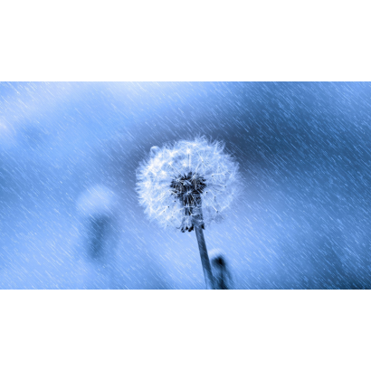 春望_三_.png 春望_三_.png