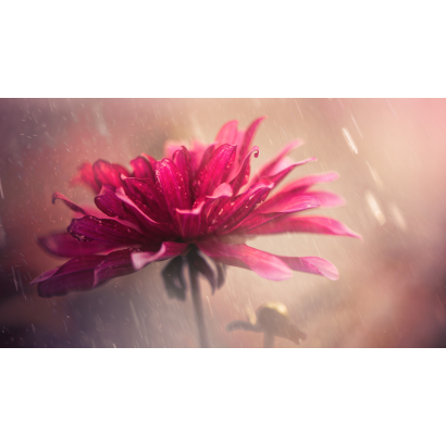 春望_二_.png 春望_二_.png