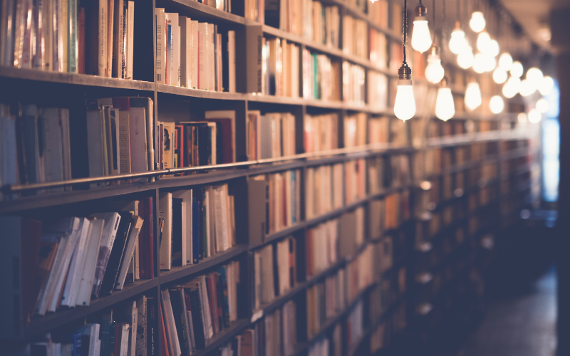 夏青青 _2_800-500.png 夏青青 _2_800-500.png